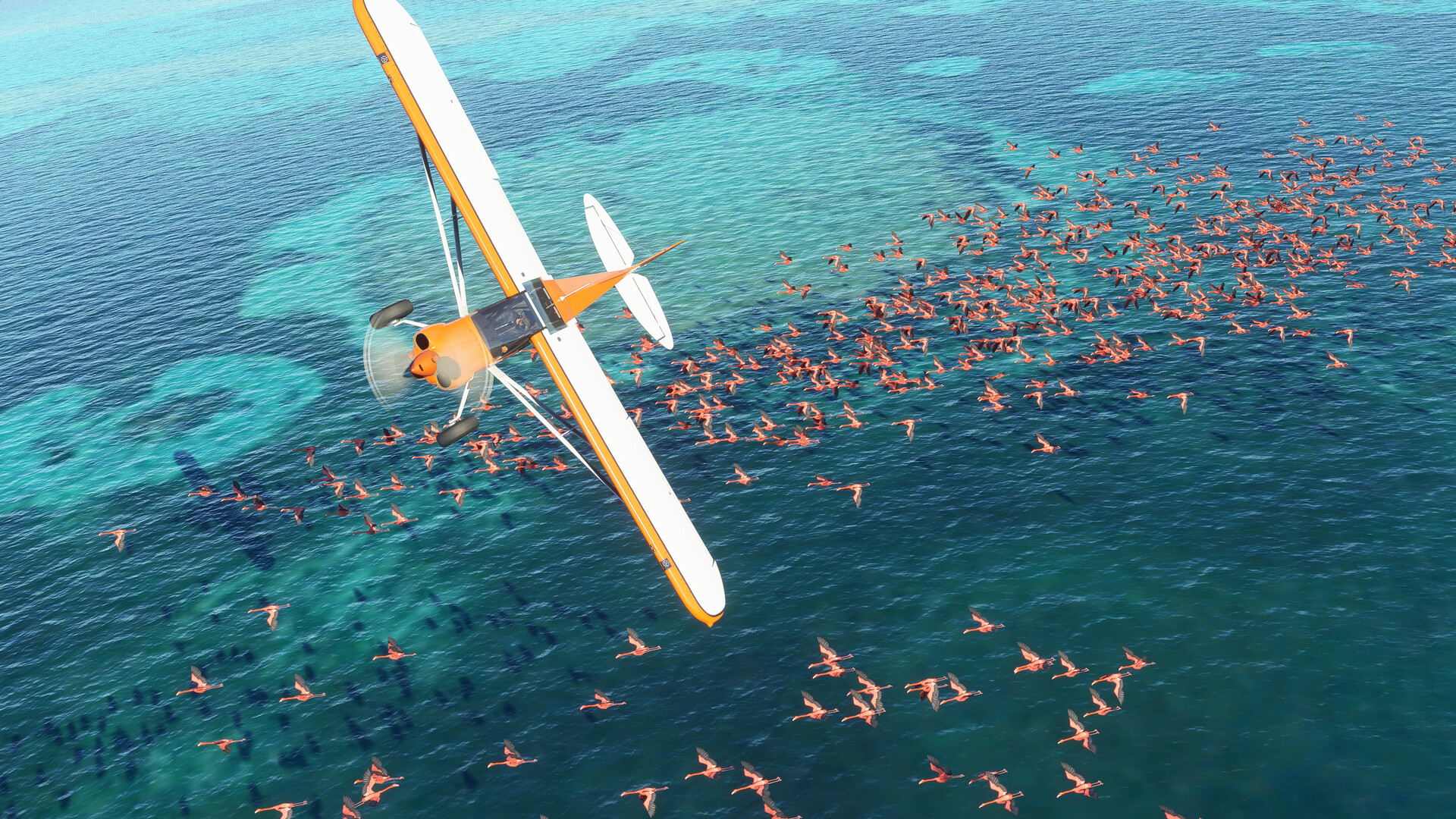 微软飞行模拟：40周年纪念版|终极版|官方中文|Microsoft Flight Simulator 40th Anniversary Edition - 19