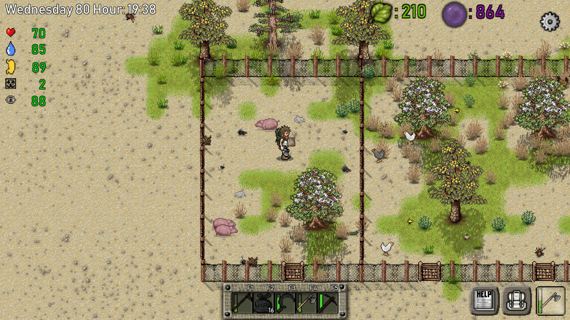 Image 7