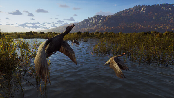 图片[7]-狩猎之道/猎人之路：精英版 Way of the Hunter Elite Edition v1.27a 集成全DLC 6月25日修复补丁！ -飞星（官中）-蒸汽游戏宝库 - 高质量Steam单机游戏下载站