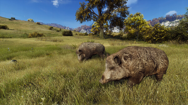 图片[11]-狩猎之道/猎人之路：精英版 Way of the Hunter Elite Edition v1.27a 集成全DLC 6月25日修复补丁！ -飞星（官中）-蒸汽游戏宝库 - 高质量Steam单机游戏下载站