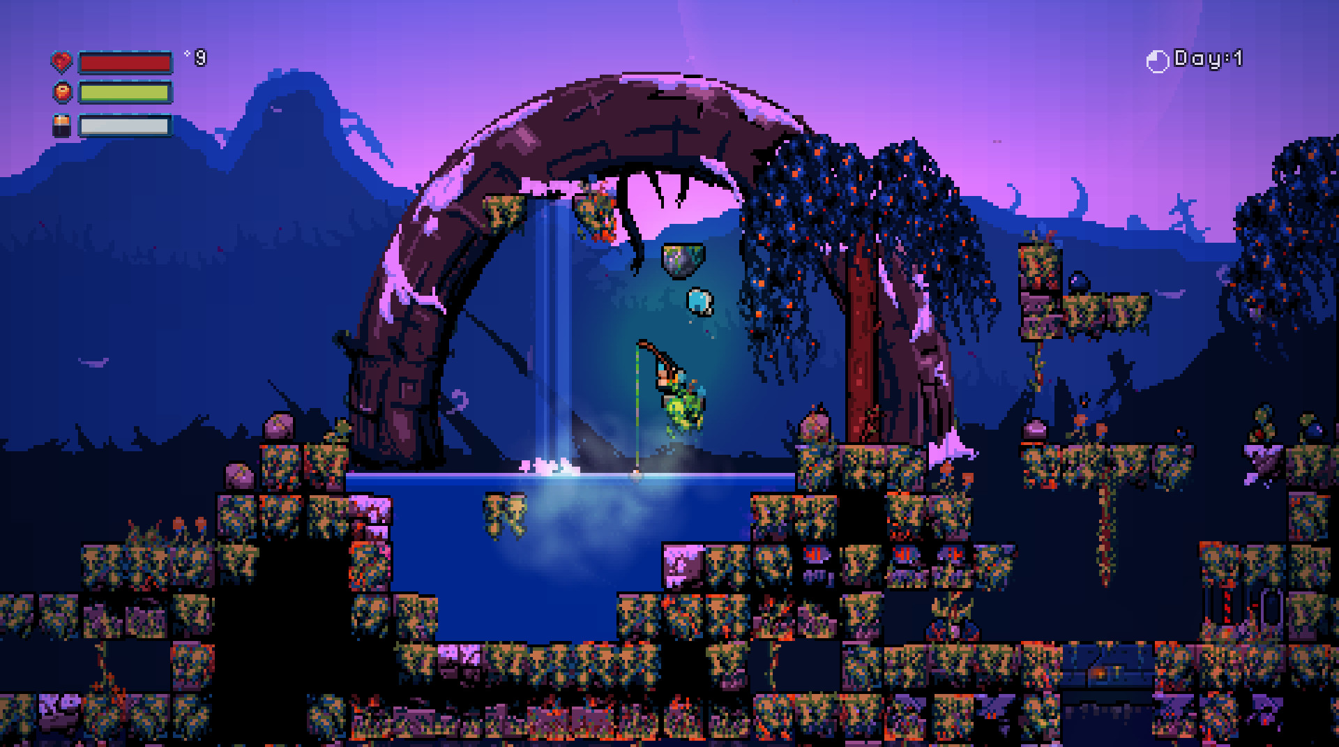 Image 5