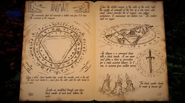 The Necromancer's Tale 截图 8