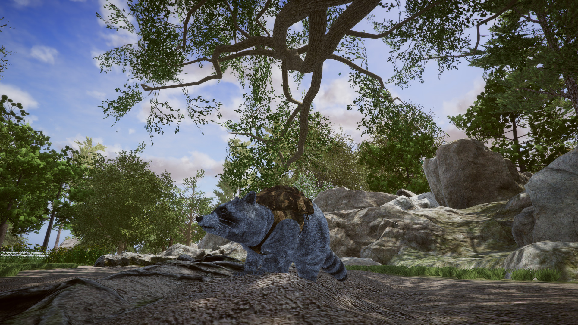 Image 38