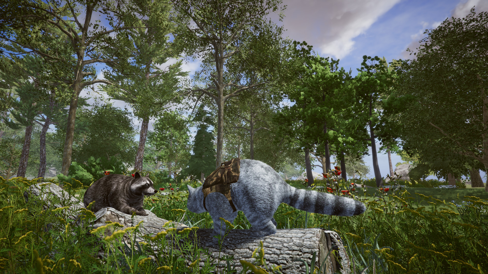 Image 37