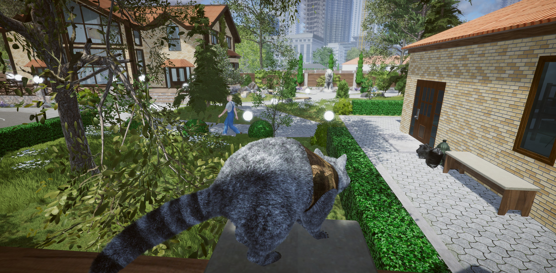 Image 43