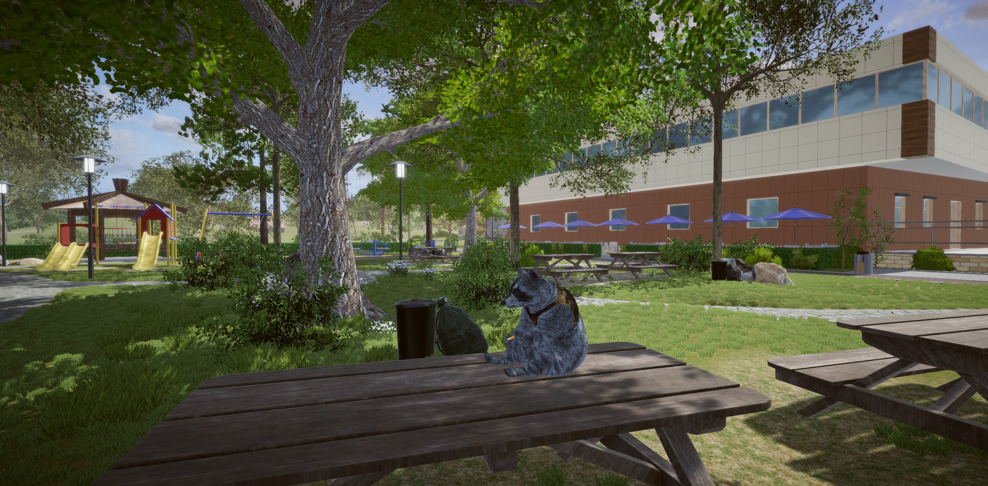 Image 39