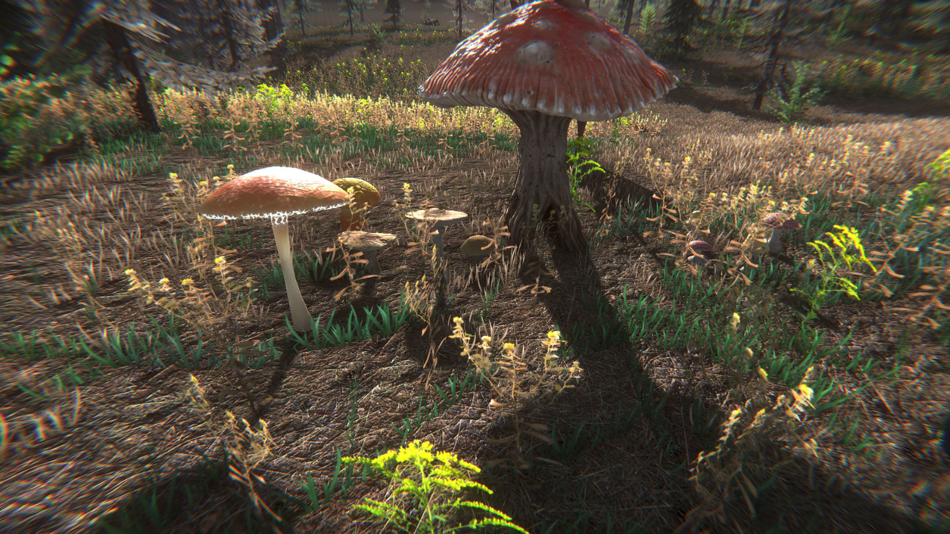 蘑菇挑战赛/Mushroom Challenge - 9