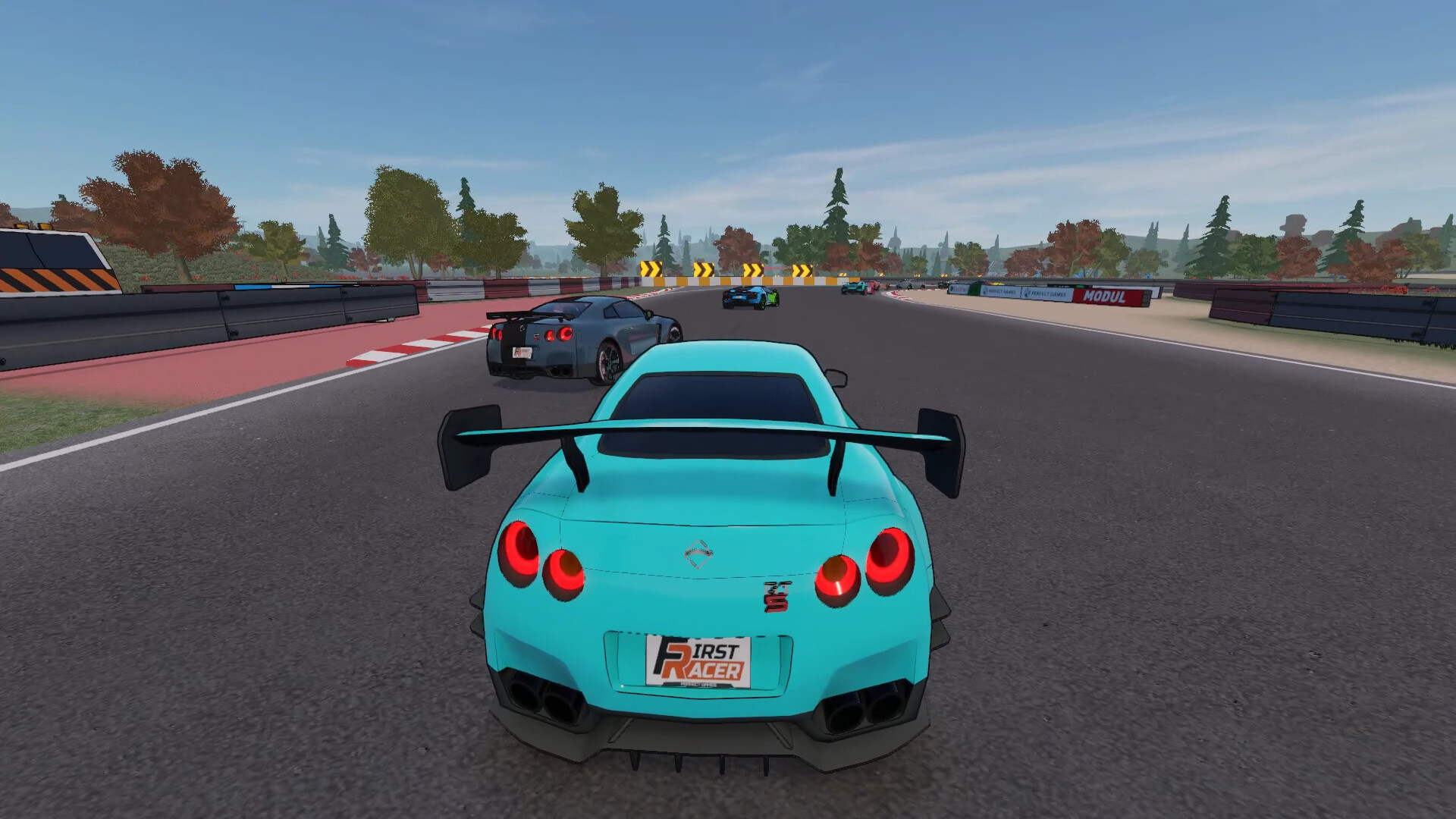 第一赛车手|500M大小|官方中文|支持手柄|First Racer