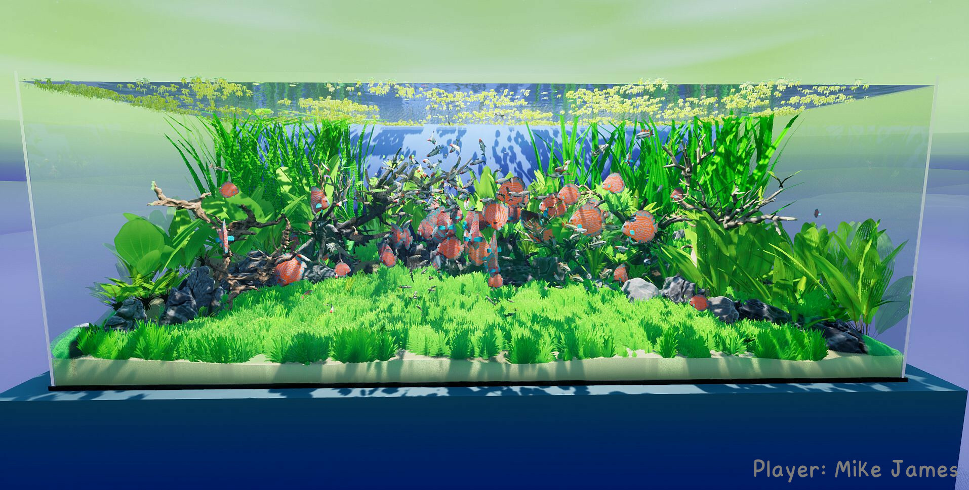 养鱼模拟器/Fish Game 截图 5