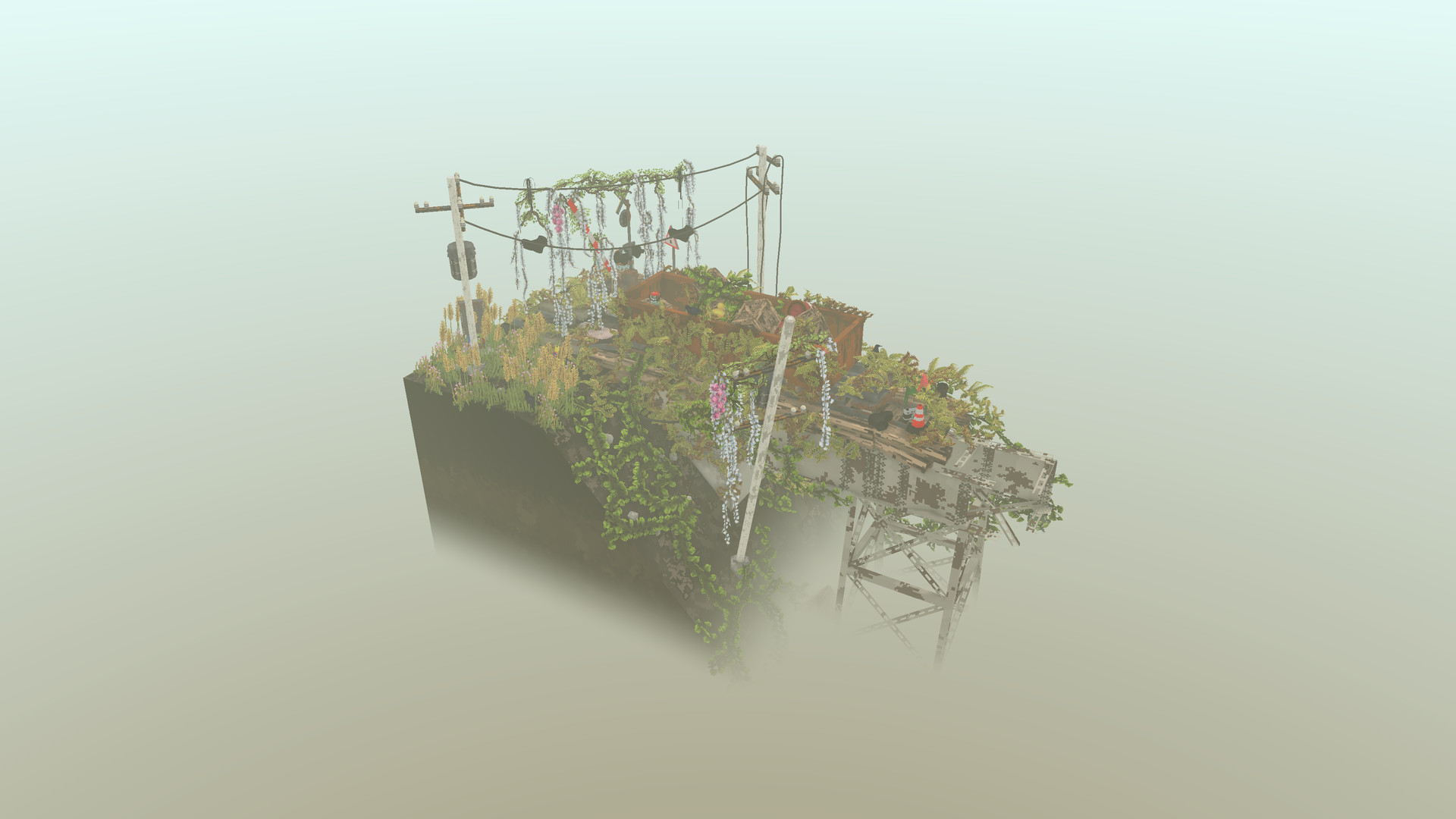 Image 16