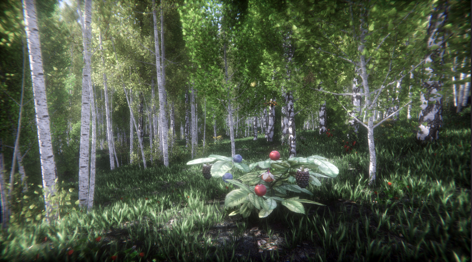 浆果挑战赛/Berries Challenge - 3