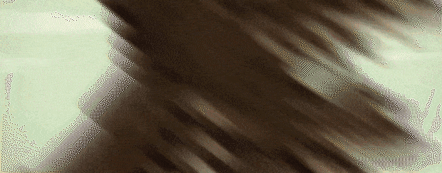 大江湖之苍龙与白鸟|大江湖之苍龙与白鸟最新版官方中文免费下载