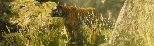 《动物拯救者 Animal Rescuer》官中简体|容量7.62GB