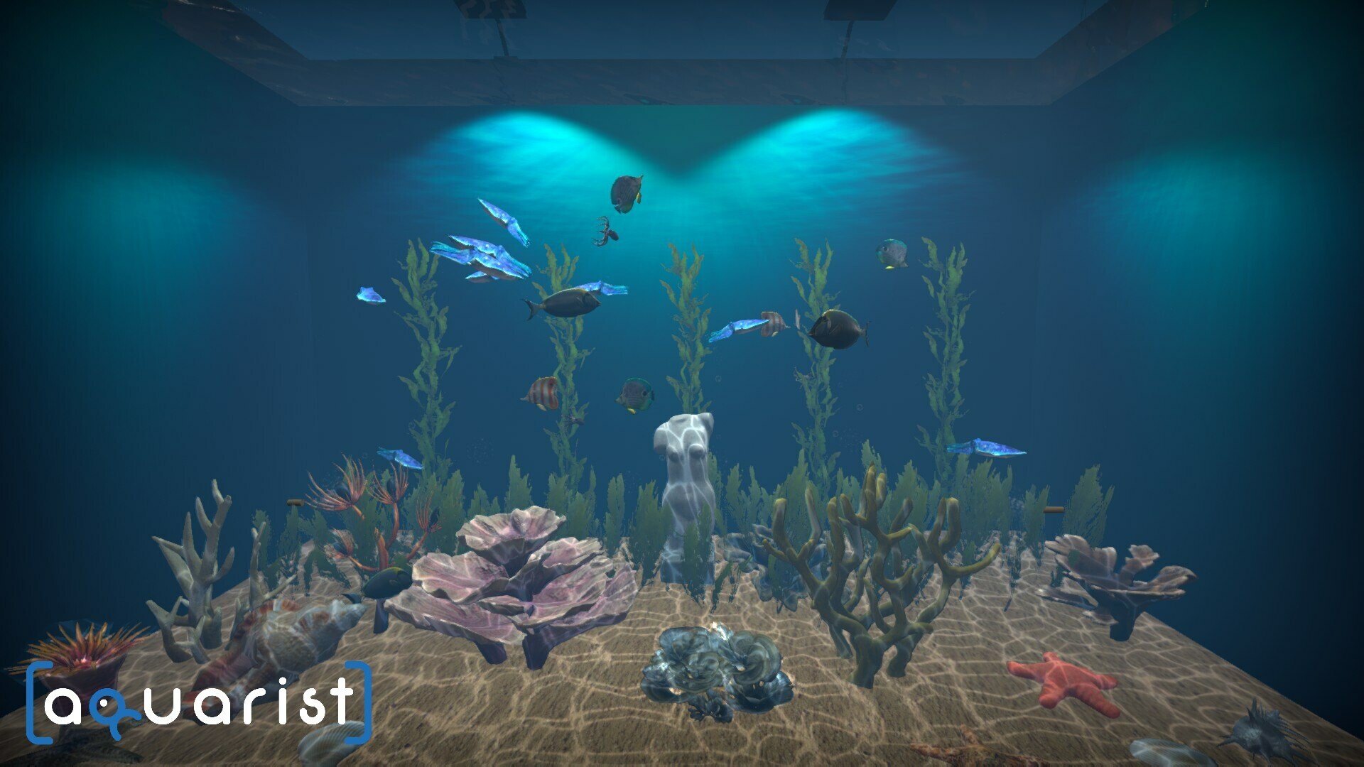 Aquarist - 建造水族馆，繁殖鱼类，拓展你的业务!|全DLC|官方中文|支持手柄|Aquarist - 21