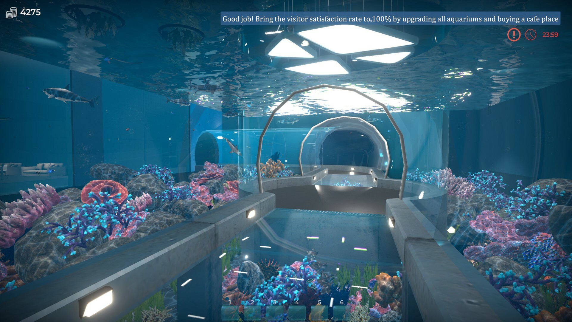 Aquarist - 建造水族馆，繁殖鱼类，拓展你的业务!|全DLC|官方中文|支持手柄|Aquarist - 3