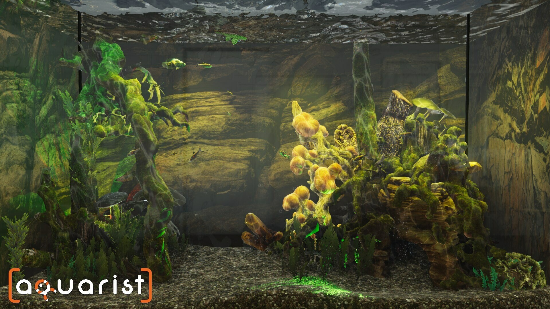 Aquarist - 建造水族馆，繁殖鱼类，拓展你的业务!|全DLC|官方中文|支持手柄|Aquarist - 10