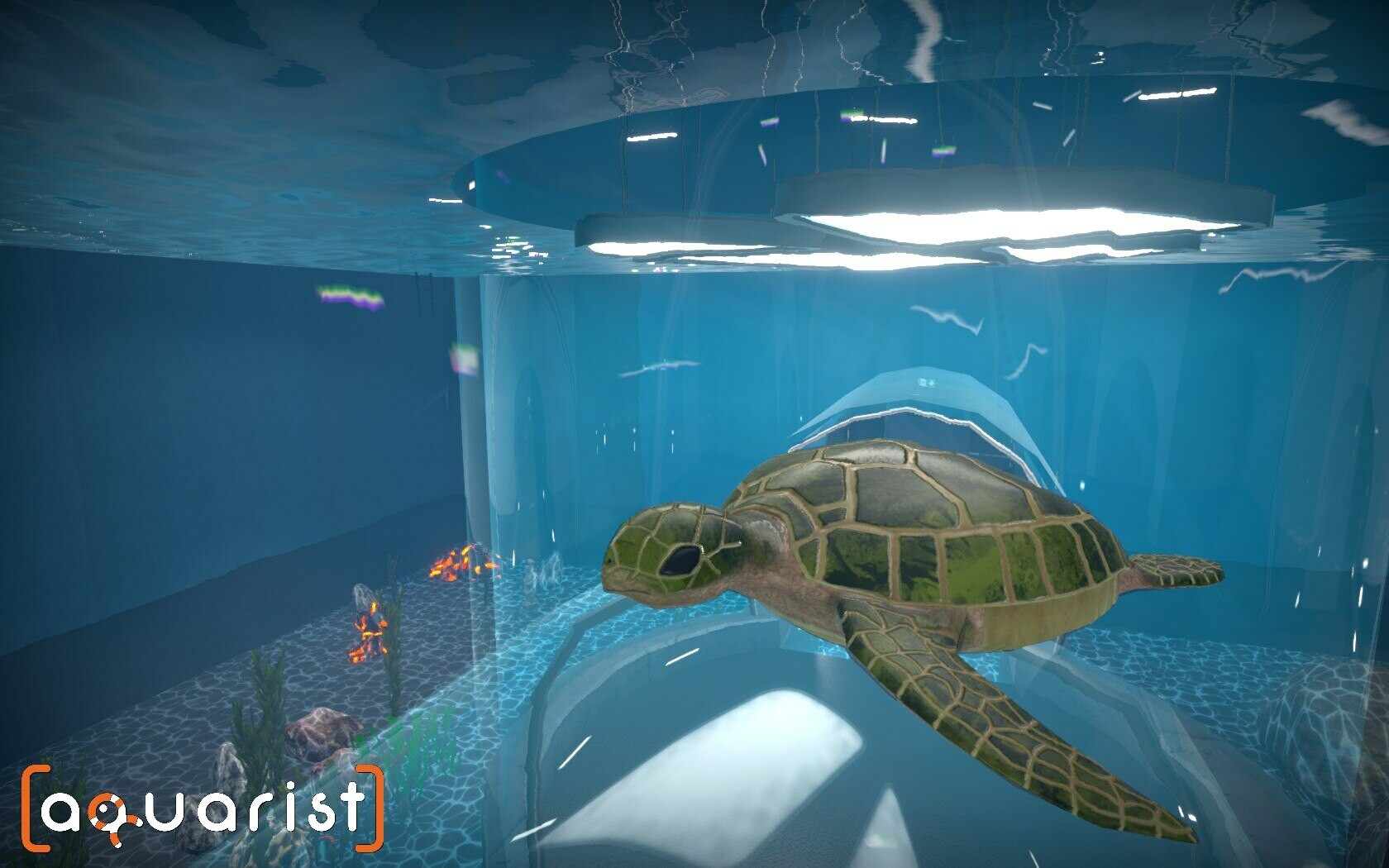 Aquarist - 建造水族馆，繁殖鱼类，拓展你的业务!|全DLC|官方中文|支持手柄|Aquarist - 15