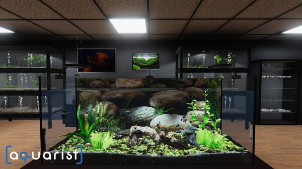 图片[2]-Aquarist - 建造水族馆，繁殖鱼类，拓展你的业务! v2025050 新增实验室DLC -飞星（官中）-蒸汽游戏宝库 - 高质量Steam单机游戏下载站