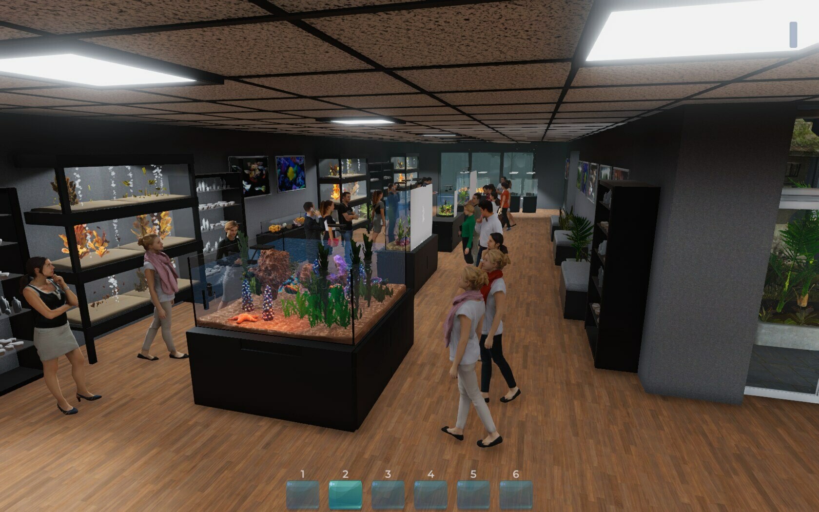 Aquarist - 建造水族馆，繁殖鱼类，拓展你的业务!|全DLC|官方中文|支持手柄|Aquarist - 4