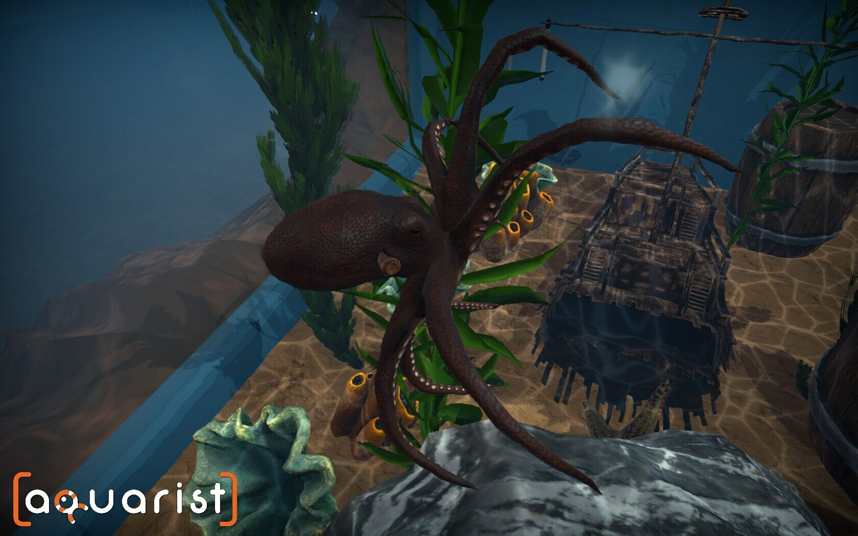 Aquarist - 建造水族馆，繁殖鱼类，拓展你的业务!|全DLC|官方中文|支持手柄|Aquarist - 7