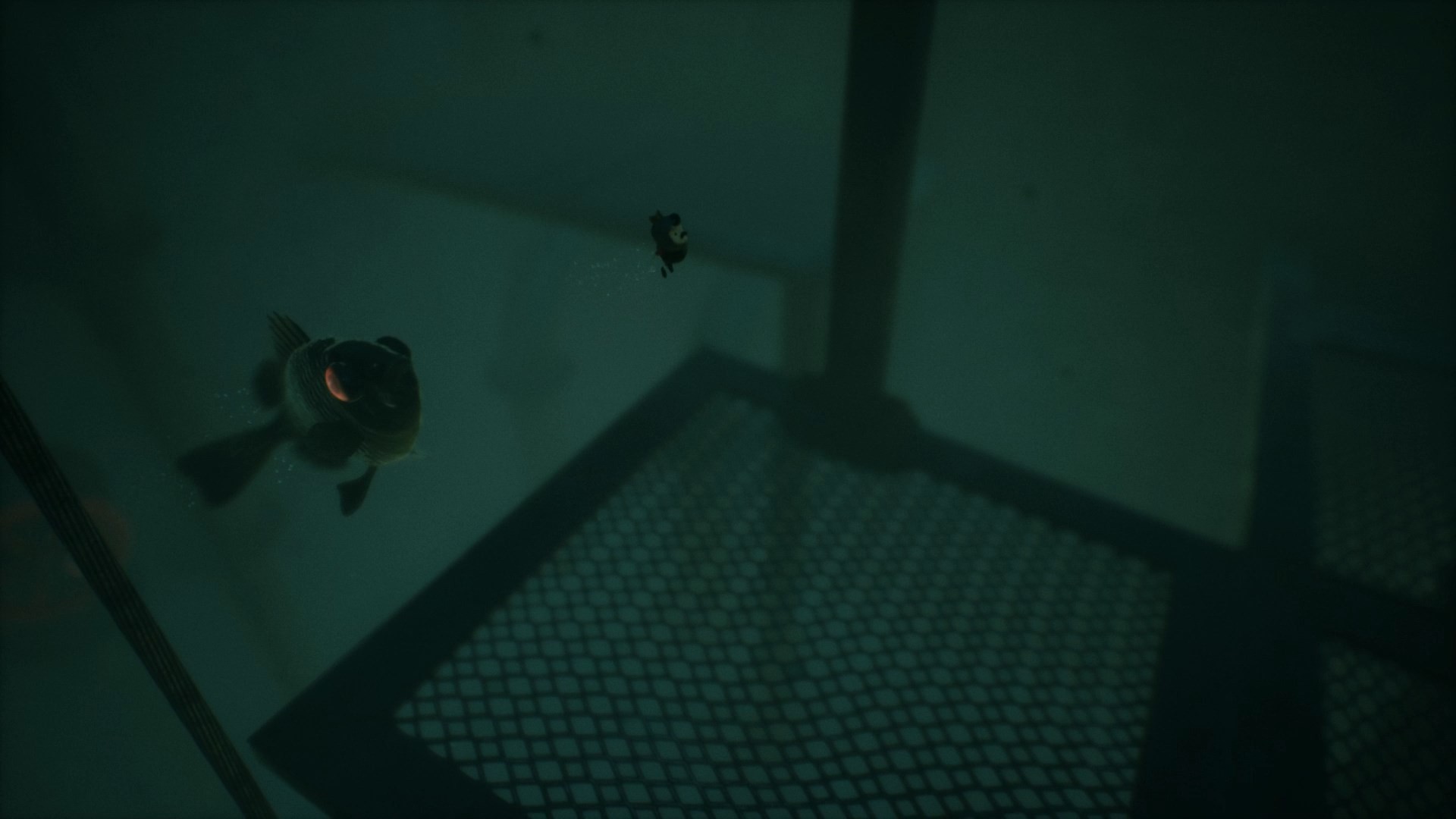 扣留/KEEP OUT - 9