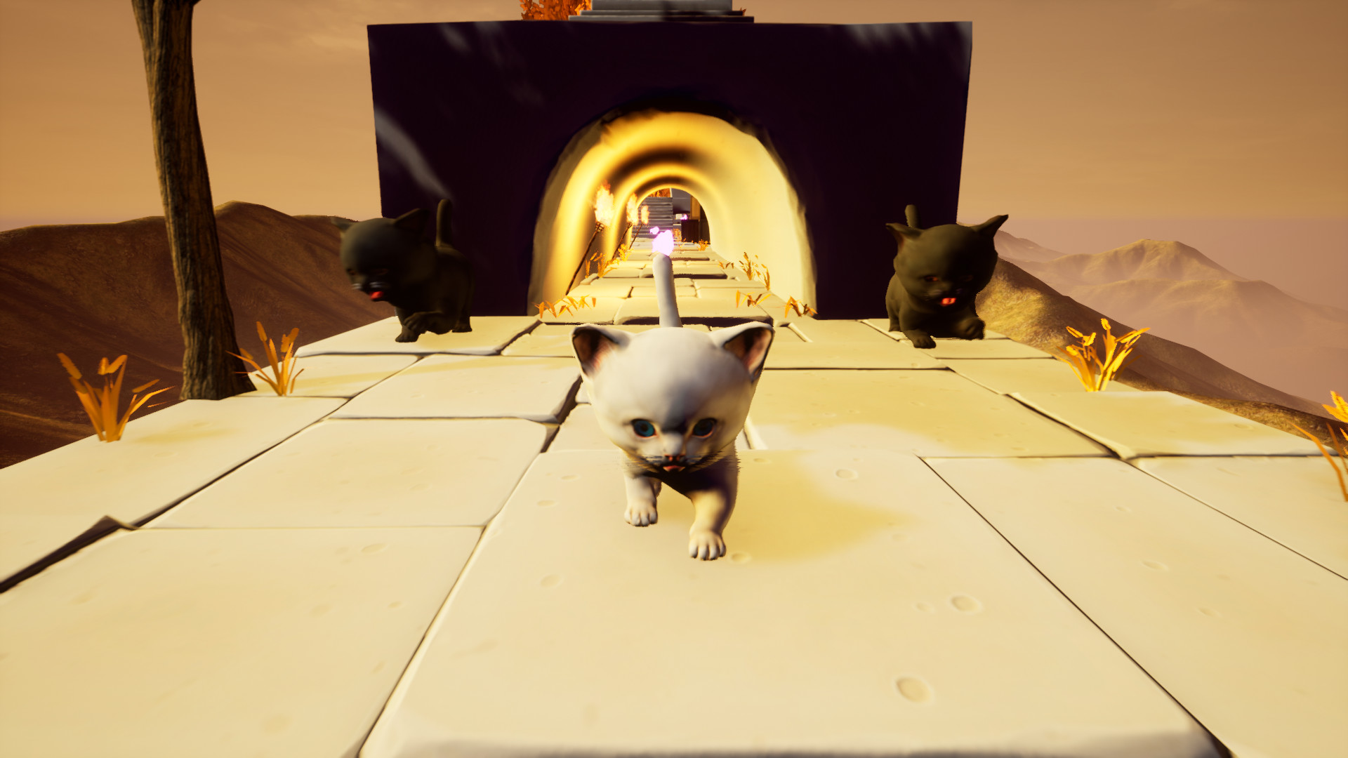 小猫快跑终极挑战/Cat Go! Ultimate Challenge - 9