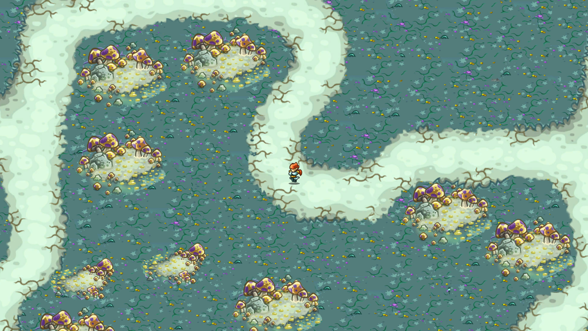 奇迹之旅/奇迹大陆/Miracle continent - 2