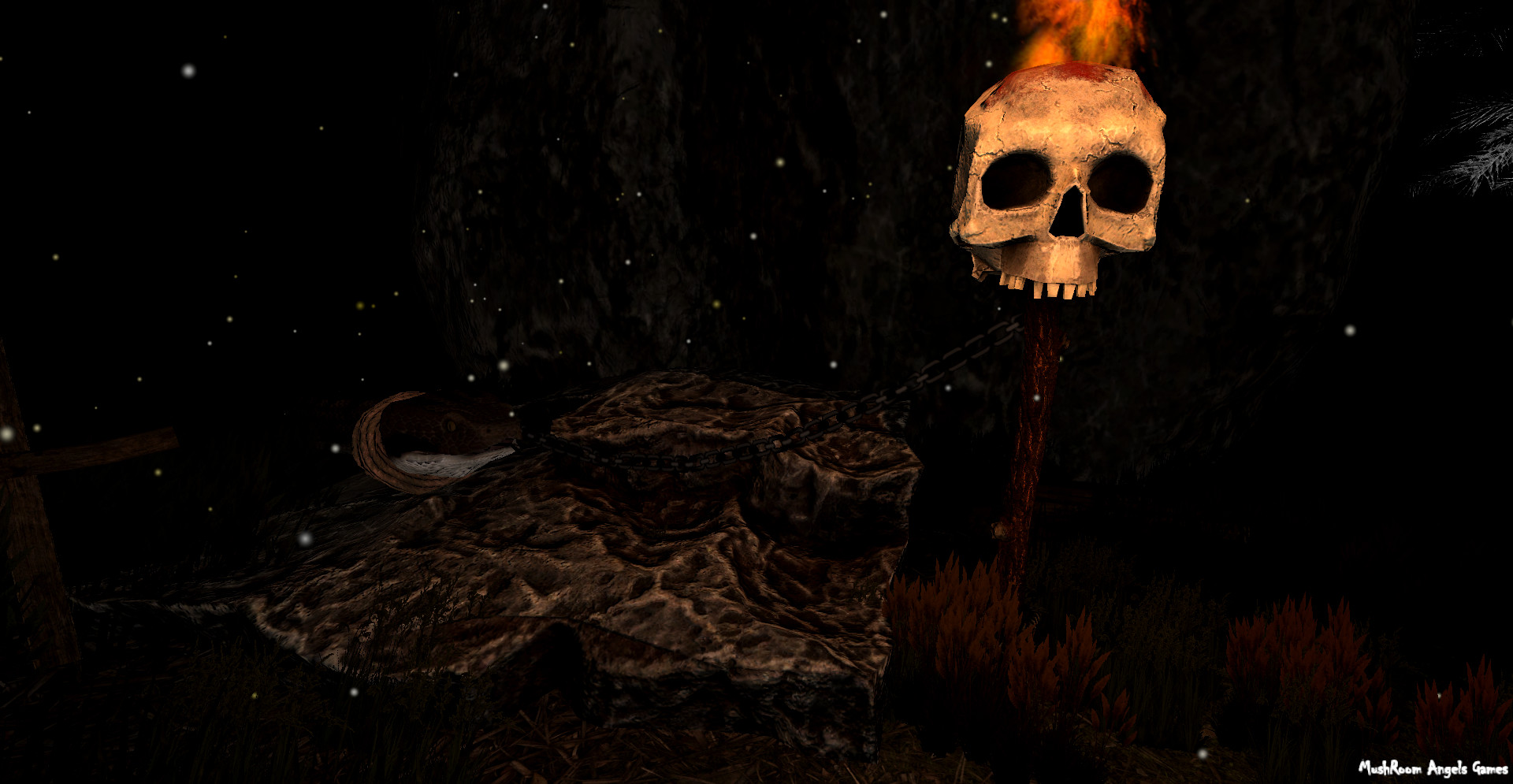 Image 39