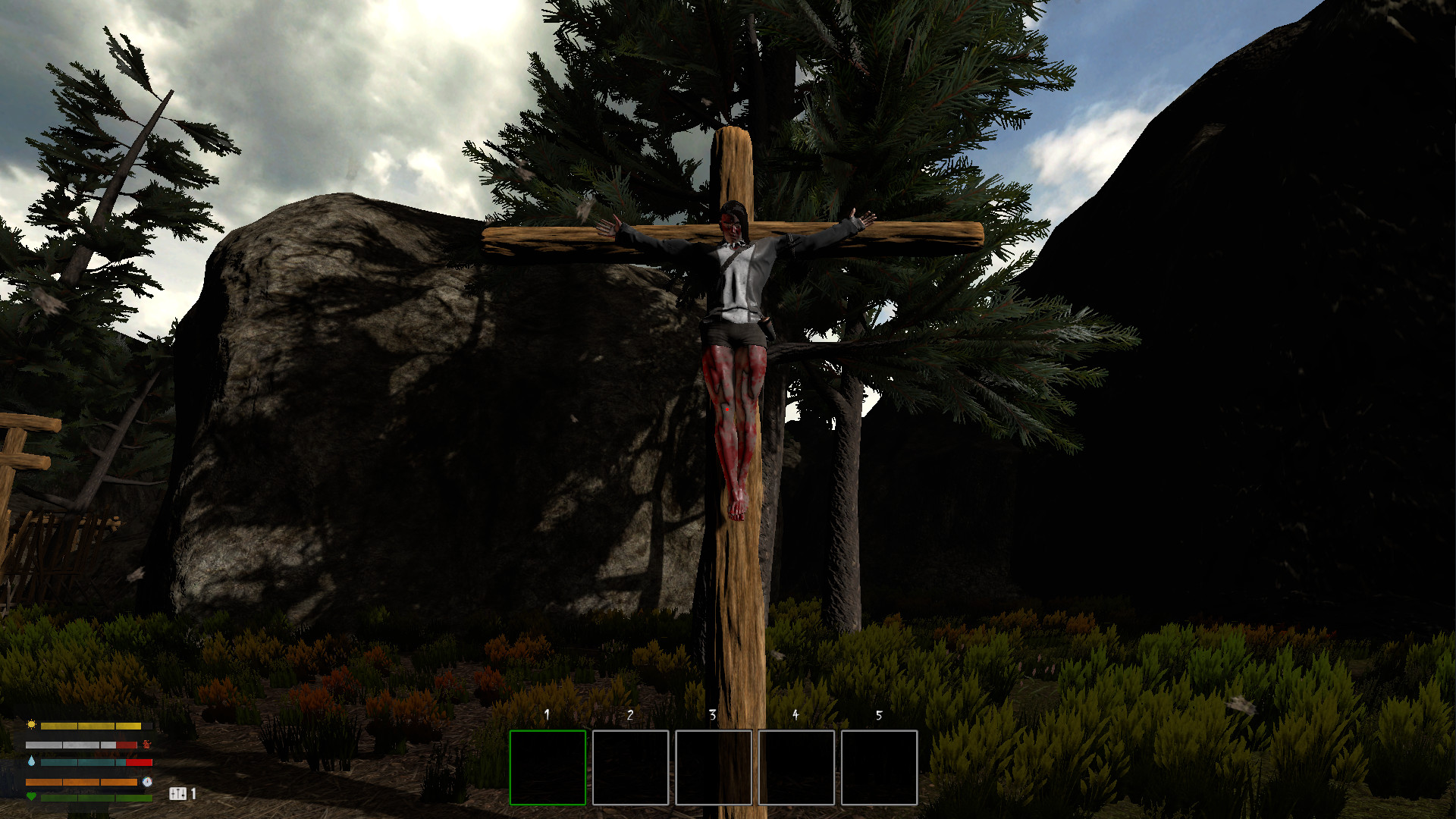 Image 36
