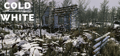 冷白 | The Cold White