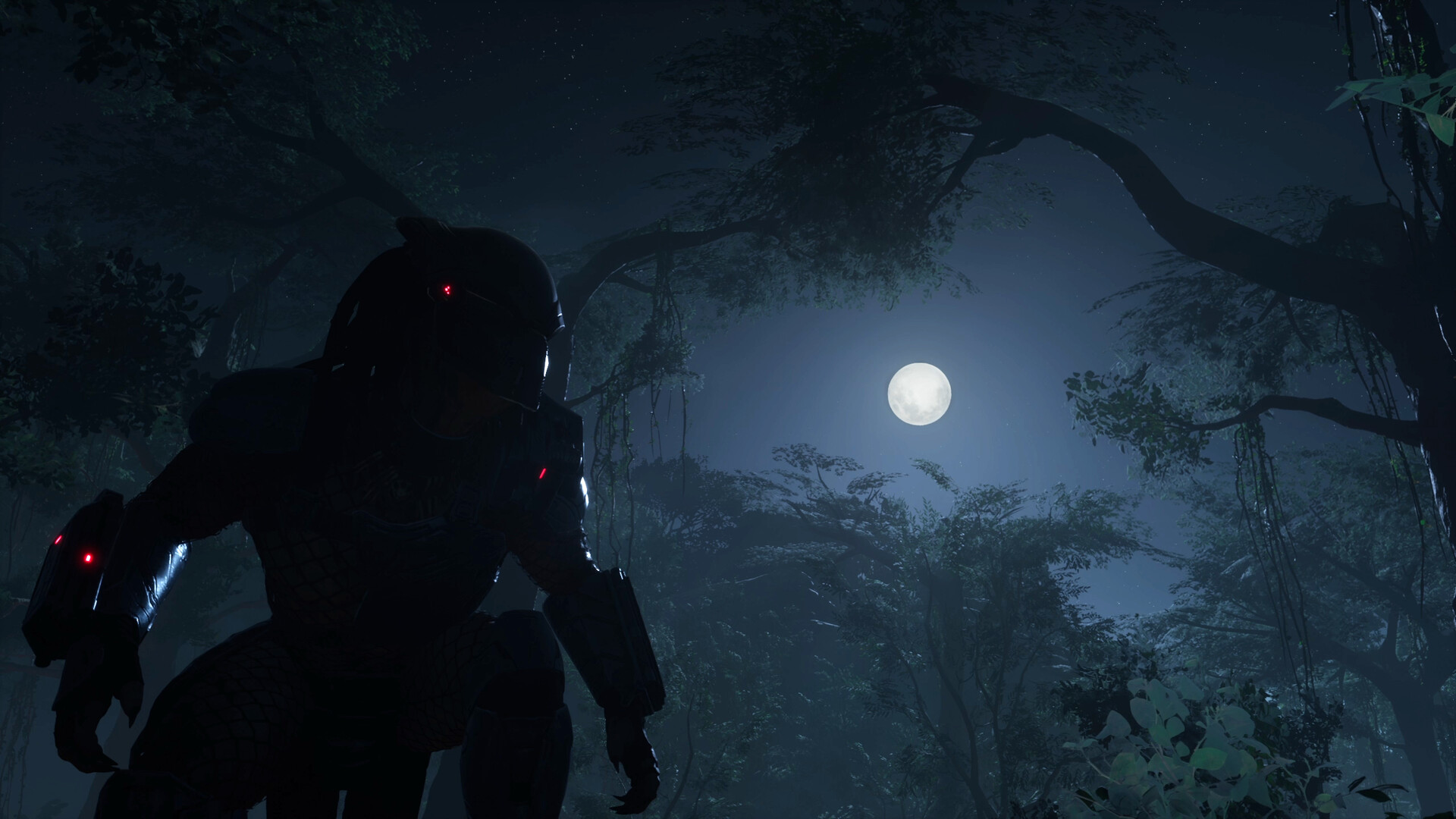 铁血战士：狩猎场|v2.49|Predator: Hunting Grounds - 3