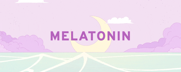 褪黑素|Melatonin最新版官方中文免费下载