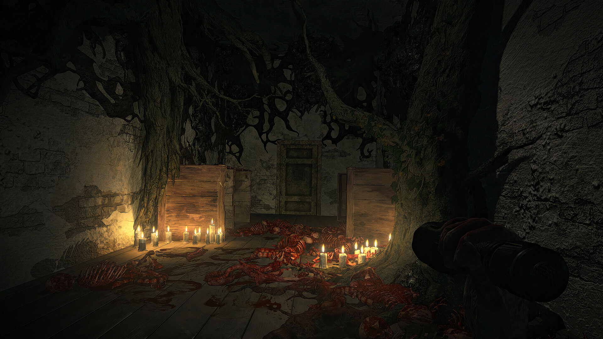 偏执之地/PARANOIA PLACE 截图 14