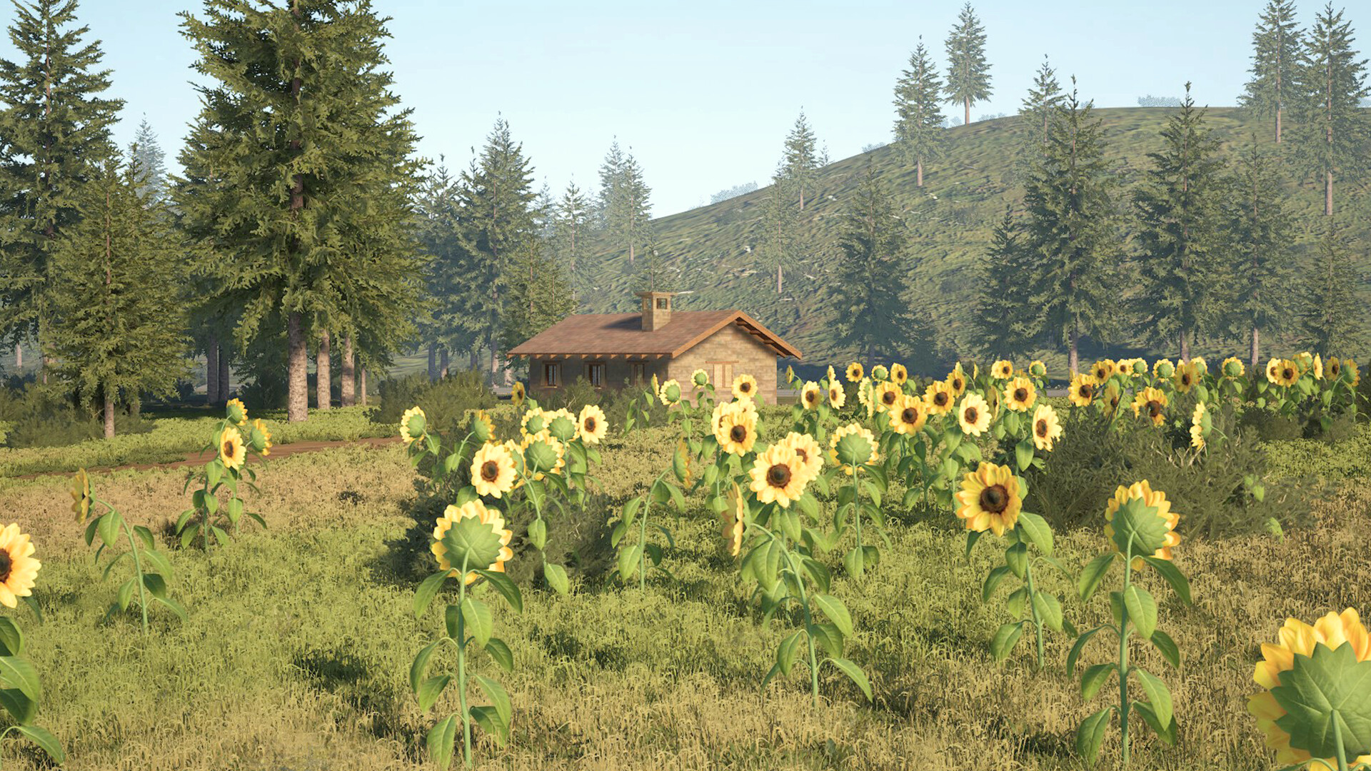 图片[24] • 《房车漫旅/Caravanners》Build.20629904|容量17.3GB|官方简体中文|支持键盘.鼠标.手柄 • BUG软件