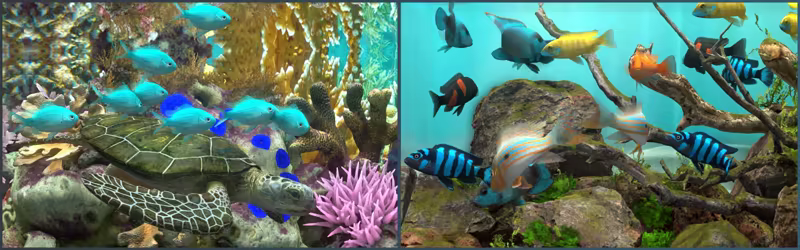 图片[2]-玻璃背后：水族馆模拟器/Behind Glass: Aquarium Simulator v1.4|模拟经营|1.4GB|中文-蝶影二次元