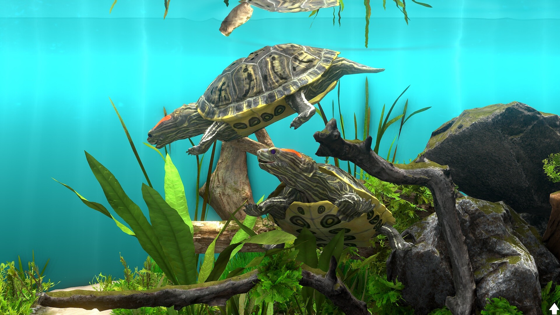 图片[10]-玻璃背后：水族馆模拟器/Behind Glass: Aquarium Simulator v1.4|模拟经营|1.4GB|中文-蝶影二次元