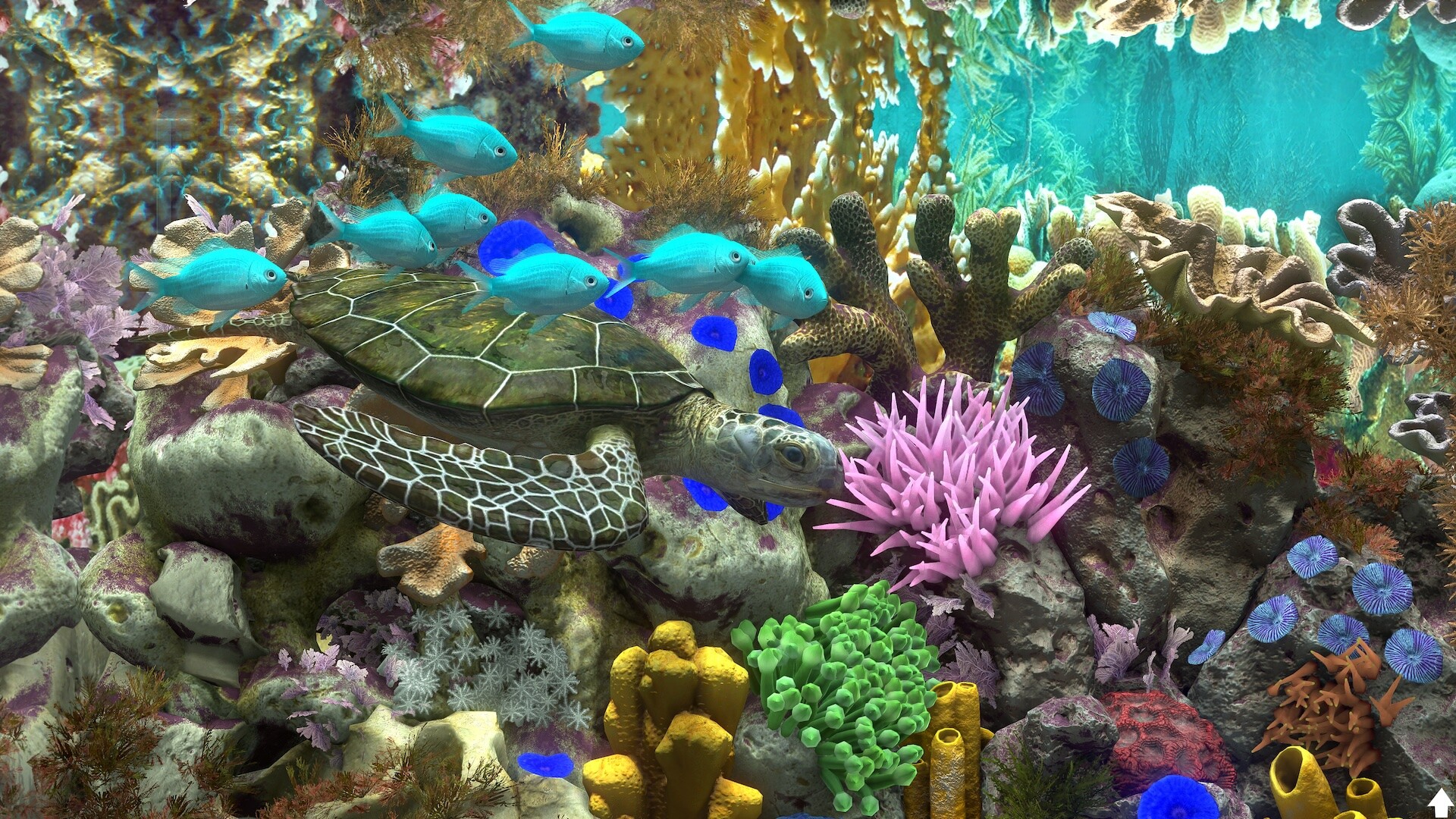 图片[5]-玻璃背后：水族馆模拟器/Behind Glass: Aquarium Simulator v1.4|模拟经营|1.4GB|中文-蝶影二次元