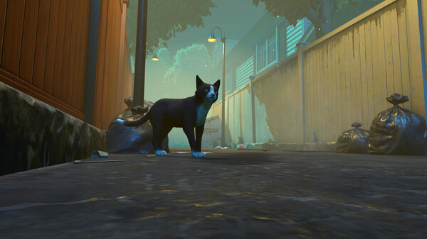 图片[2]-冒牌猫谜 Copycat v1.0.4 -飞星（官中）-蒸汽游戏宝库 - 高质量Steam单机游戏下载站