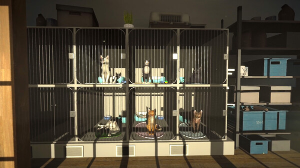 图片[8]-冒牌猫谜 Copycat v1.0.4 -飞星（官中）-蒸汽游戏宝库 - 高质量Steam单机游戏下载站