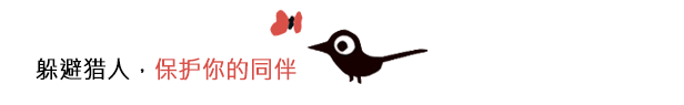 Koira|Koira最新版官方中文免费下载-图片7