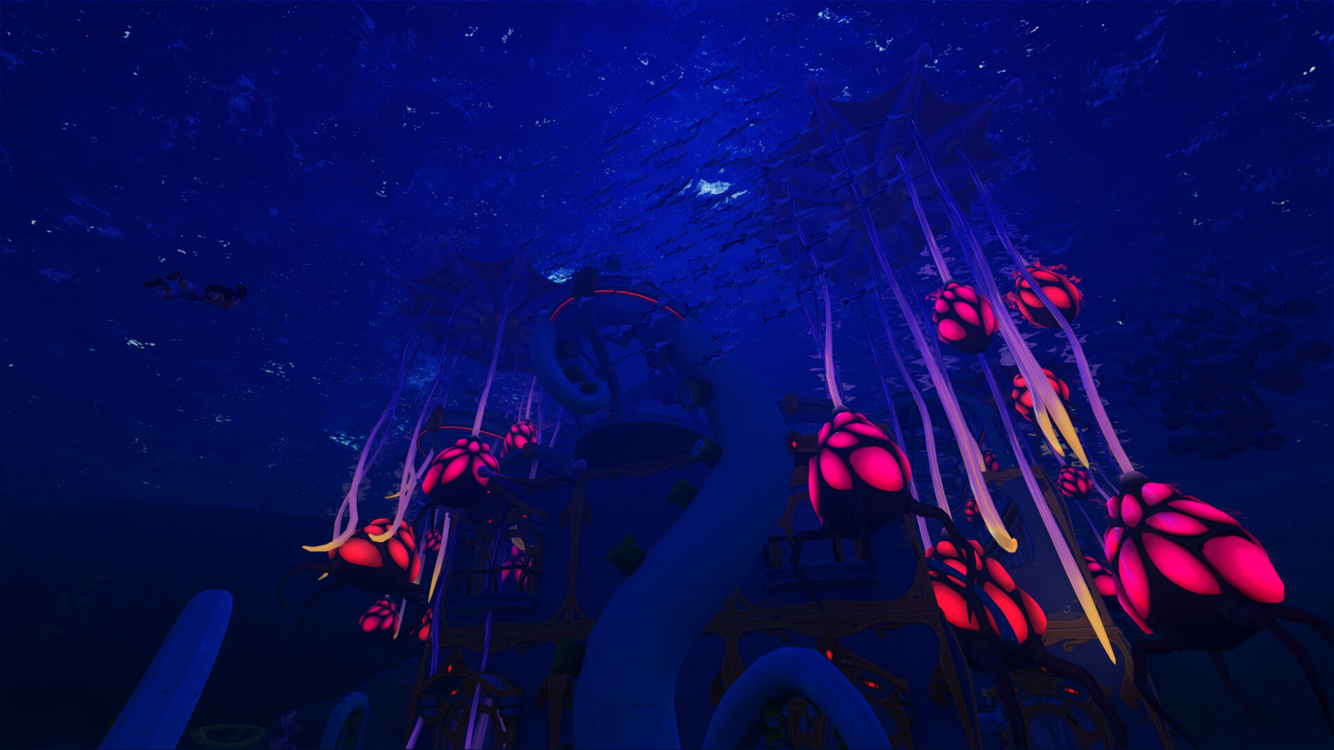 动物海湾/Critter Cove 截图 8