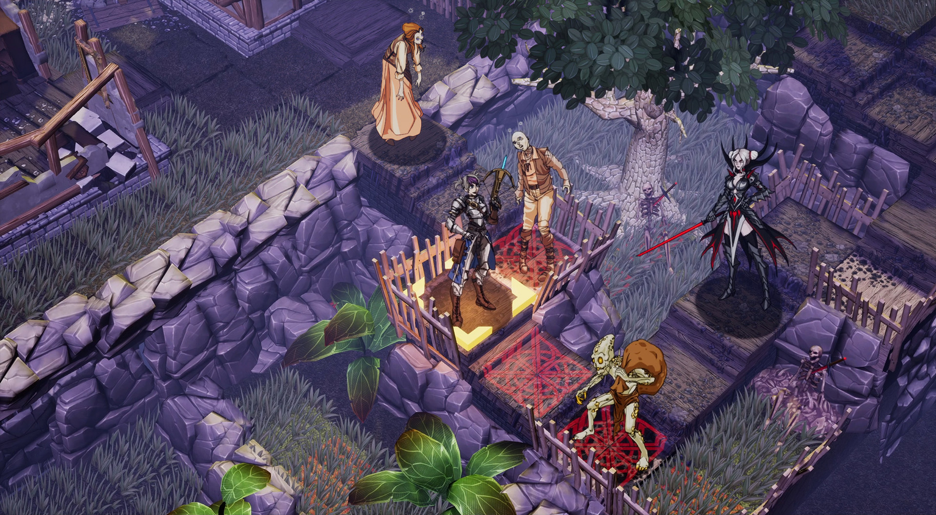 Image 11