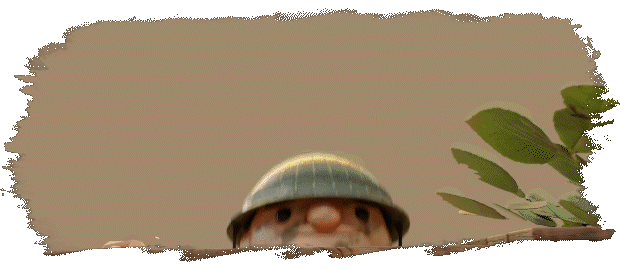 图片[17]-诺森德塔防 Northend Tower Defense v1.1 -飞星（官中）-蒸汽游戏宝库 - 高质量Steam单机游戏下载站