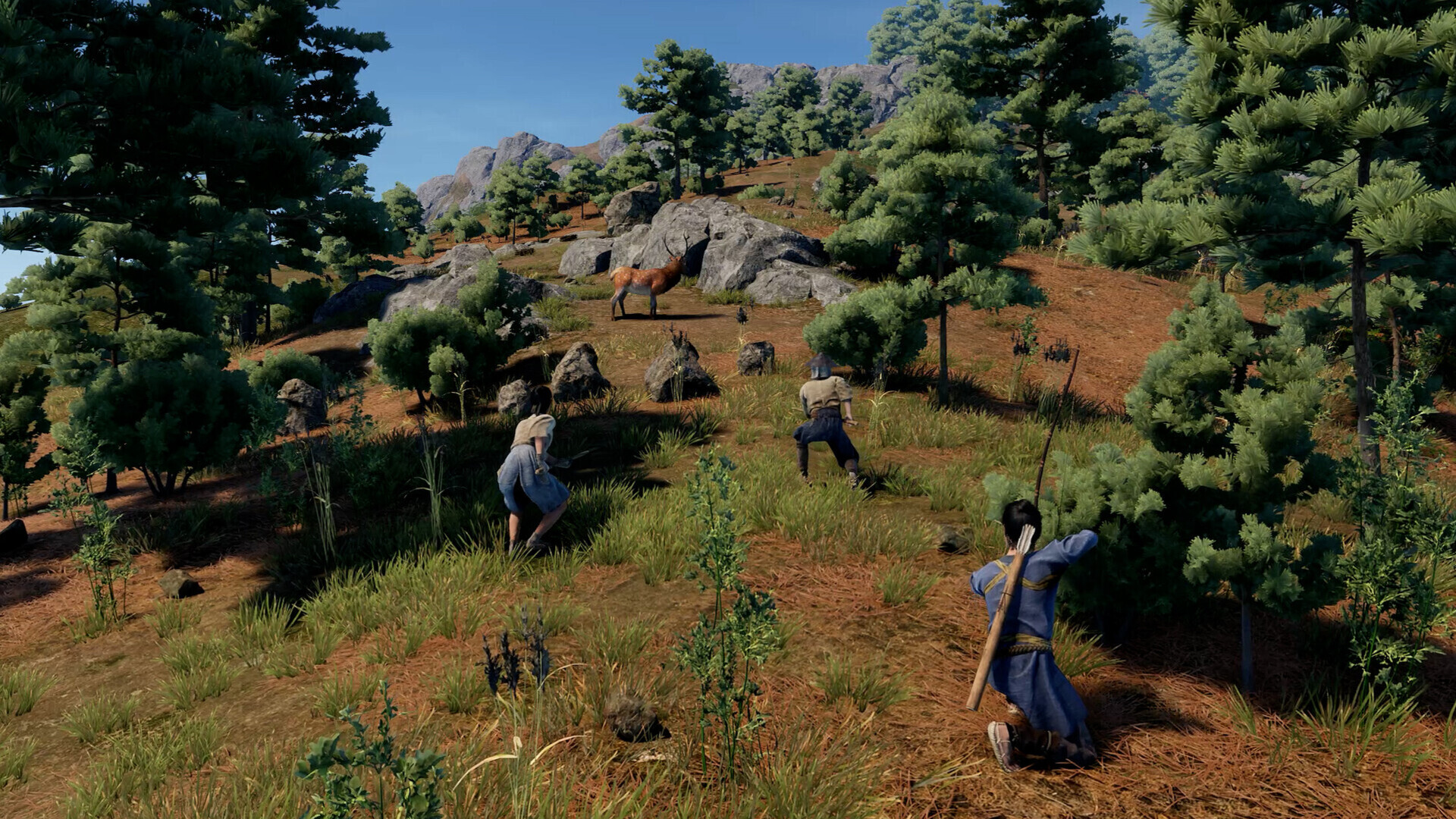 战国王朝|v1.2.3.0|官方中文|支持手柄|SENGOKU DYNASTY - 14