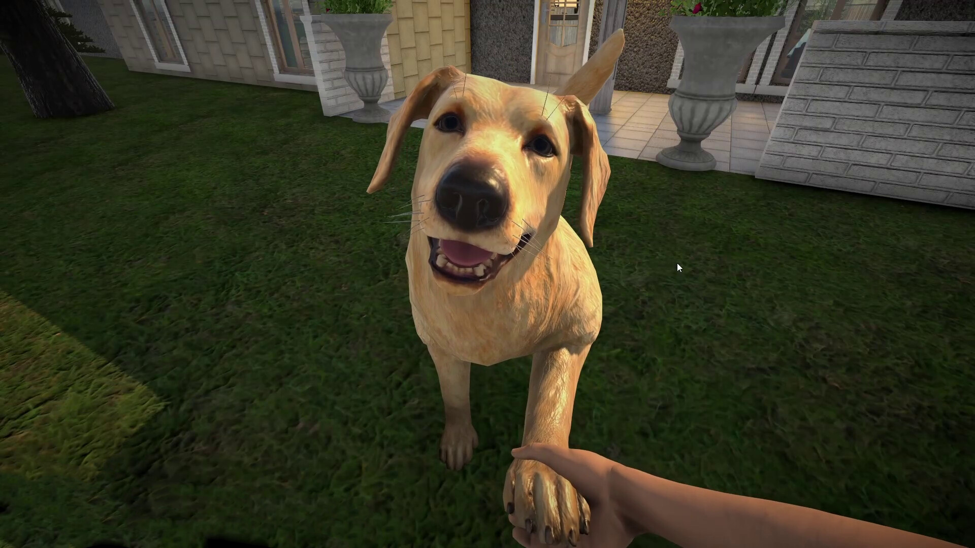 宠物旅馆|官方中文|PETS HOTEL - 2