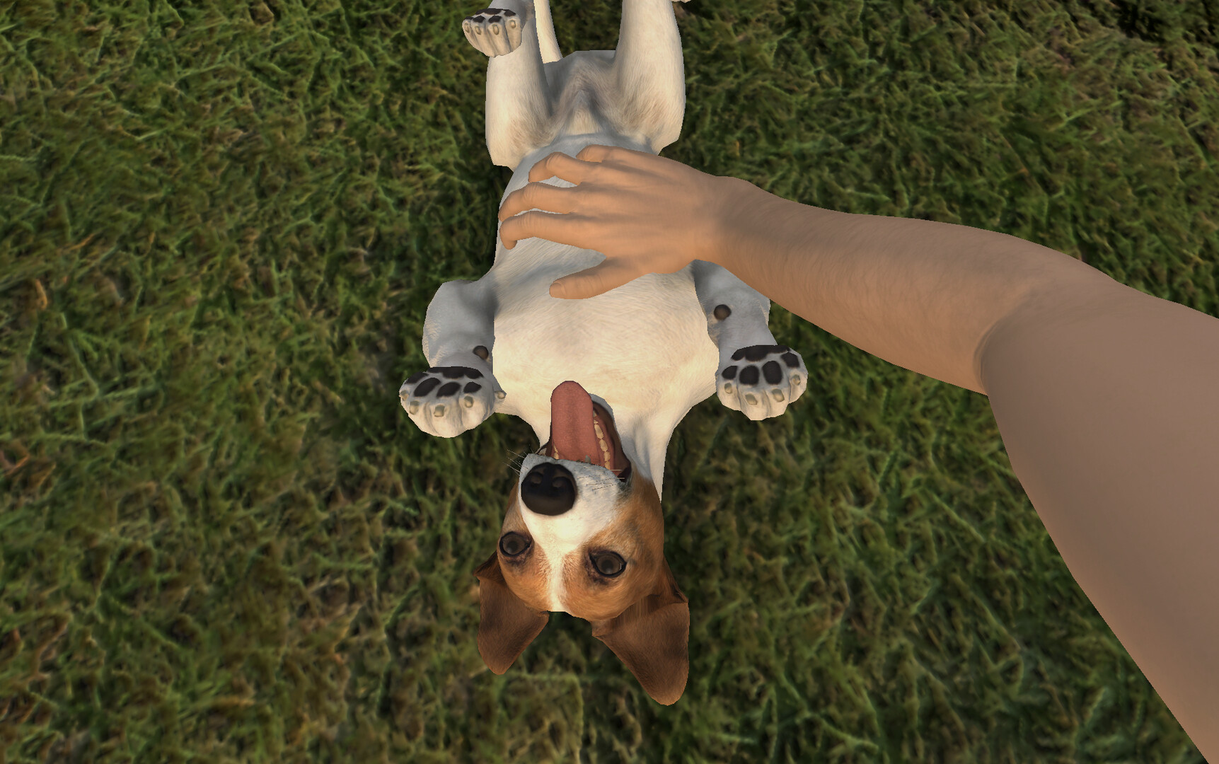 宠物旅馆|官方中文|PETS HOTEL - 17