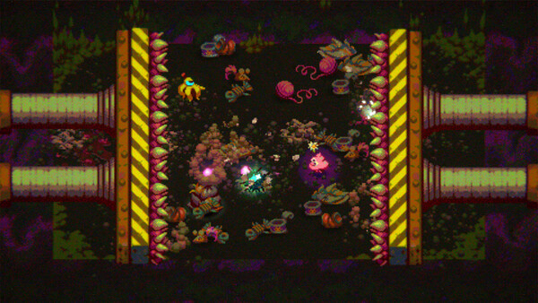 小小勇士们 图片 10