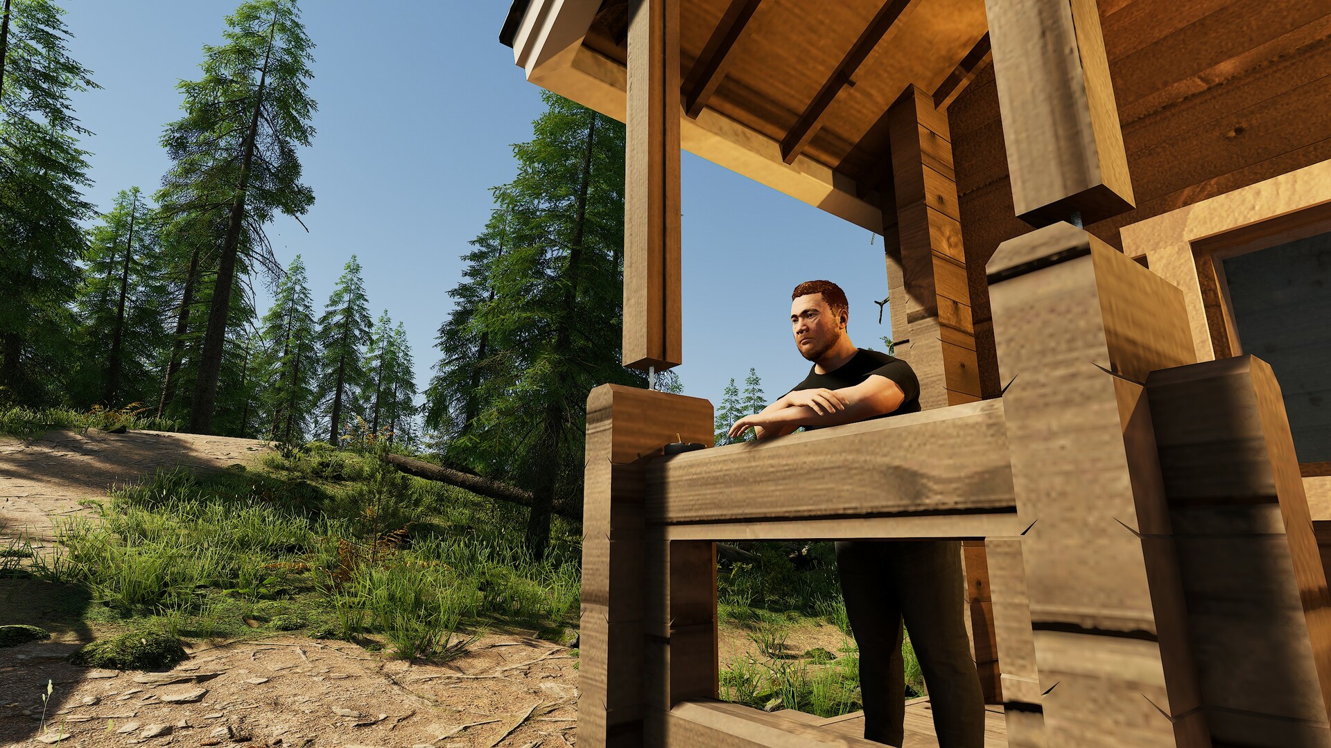 芬兰小屋模拟器/Finnish Cottage Simulator