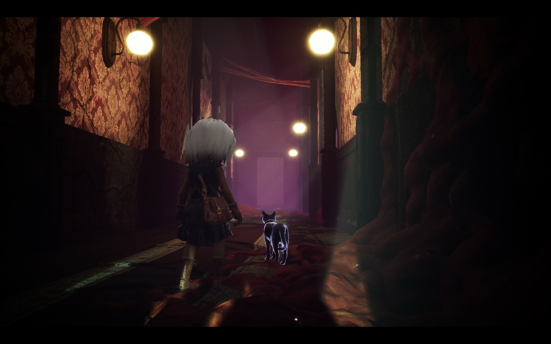 LIGHT：黑色小猫与失忆少女|4G大小|官方中文|支持手柄|LIGHT: Black Cat & Amnesia Girl