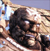 小神的起源|Dragon Age: Origins最新版官方中文免费下载-图片3